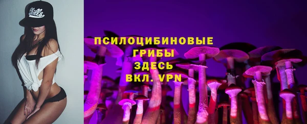 трава Елизово