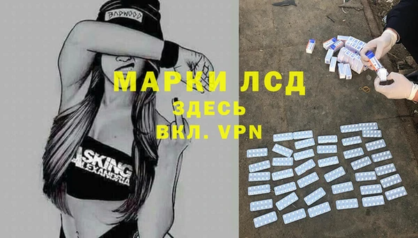 трава Елизово