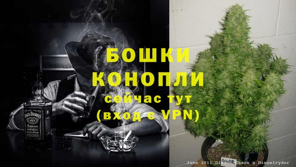 прущая мука Елабуга