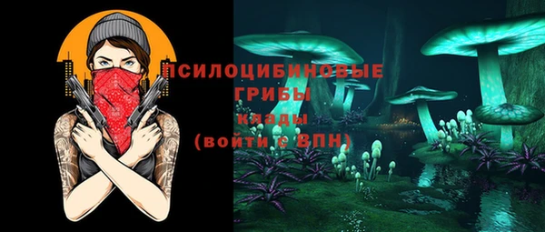 прущая мука Елабуга