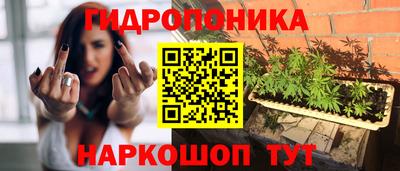 таблы Краснознаменск