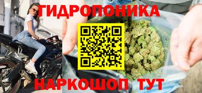 таблы Краснознаменск