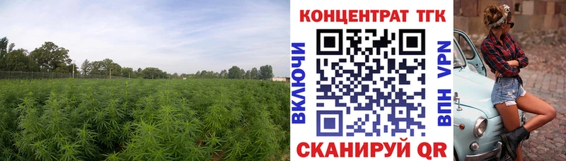 Дистиллят ТГК вейп с тгк где продают наркотики Каменск-Шахтинский