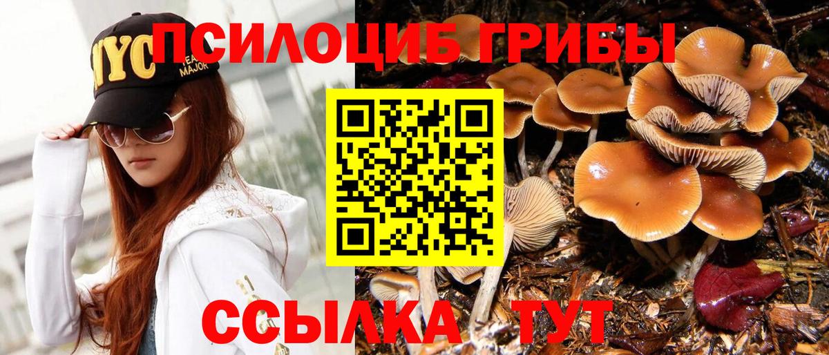 Галлюциногенные грибы Cubensis  Вход с VPN  Каменск-Шахтинский 