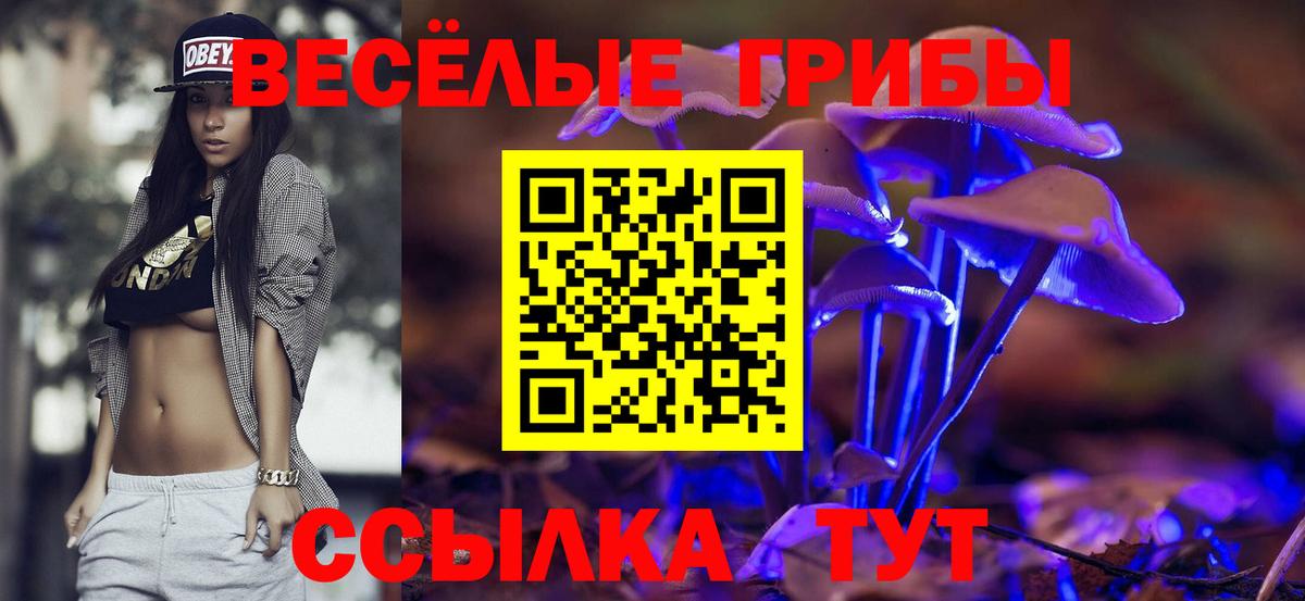 Псилоцибиновые грибы Cubensis Каменск-Шахтинский